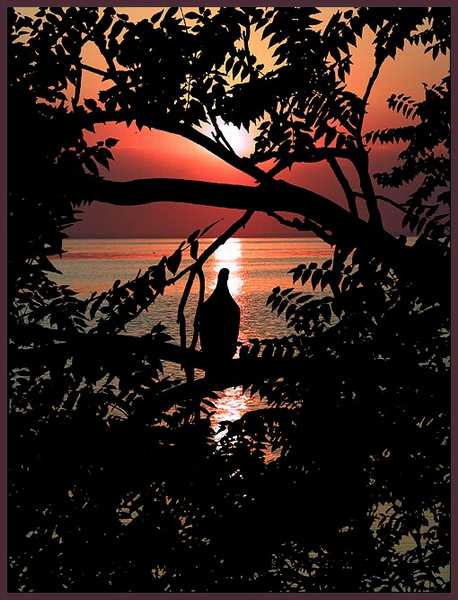 photo "Untitled photo" tags: landscape, montage, sunset