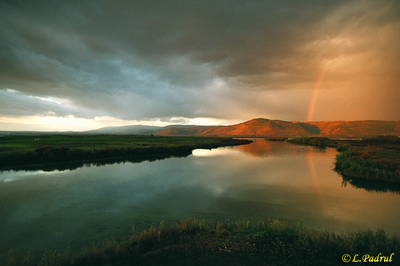 фото "Божественный знак" метки: природа, 