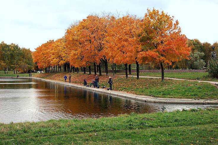 фото "Осень в парке" метки: пейзаж, осень