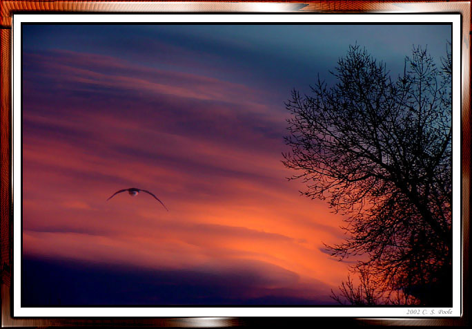 фото "Serenity" метки: фотомонтаж, пейзаж, закат