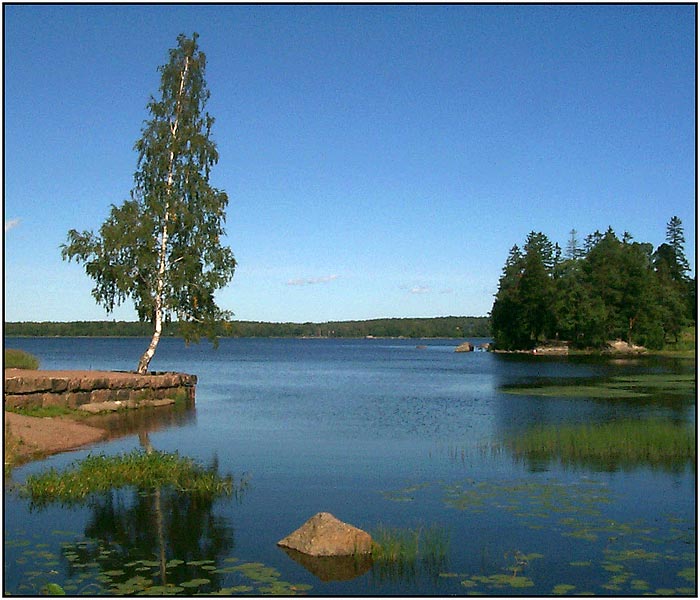 фото "Просто летний пейзаж." метки: пейзаж, вода, лес