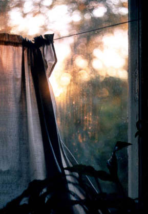 photo "The Evening" tags: landscape, summer