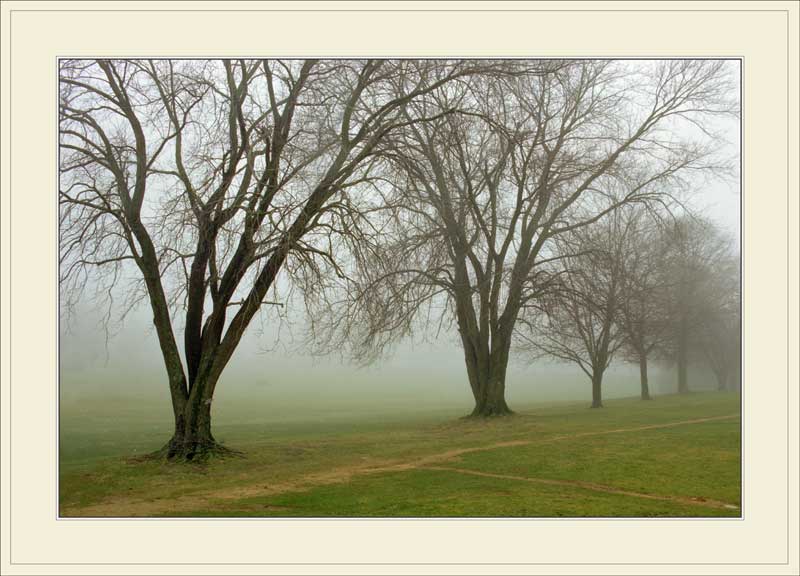 photo "Foggy morning (Diagonals)" tags: landscape, 