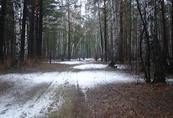 photo "The most very first snow" tags: landscape, montage, autumn