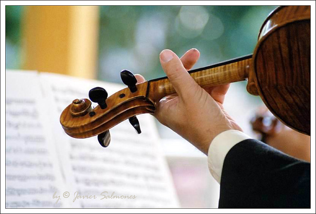 фото ""Stradivarius"" метки: , 