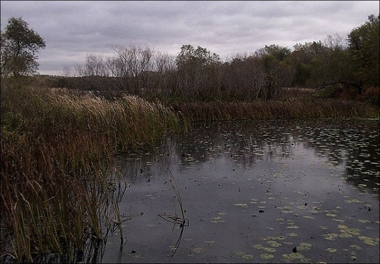 photo "***" tags: landscape, autumn, water