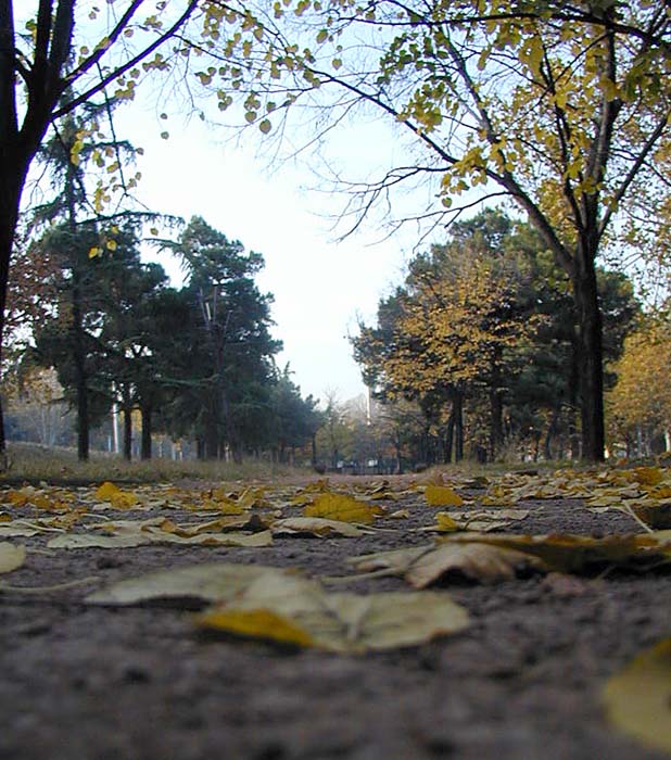 photo "Park Walking (Fall 2001)" tags: nature, landscape, autumn