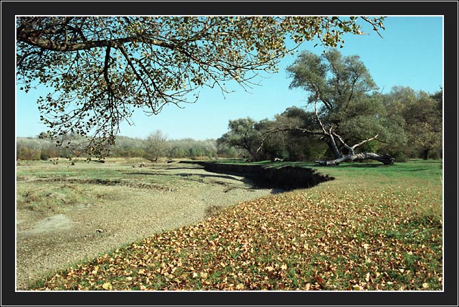photo "Autumn" tags: landscape, autumn, forest