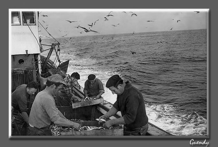 photo "The work in the sea" tags: reporting, 