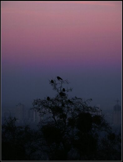 фото "Рассветная - V" метки: пейзаж, закат