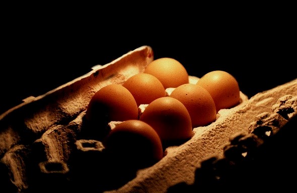 photo "7 eggs..." tags: genre, abstract, 