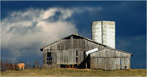 фото ""It`s A Rural Thing"" метки: пейзаж, зима