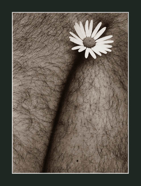 фото "The Master and Margarita" метки: жанр, природа, цветы