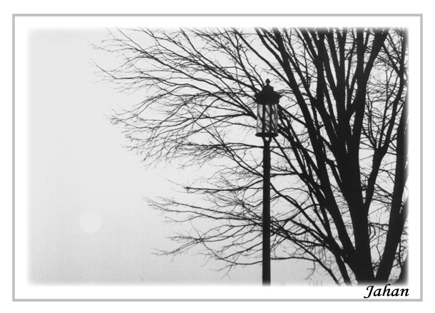 photo "Tree,Lantern and Moon" tags: nature, landscape, sunset