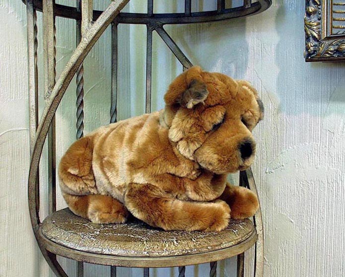 photo "Cuddly" tags: still life, humor, 