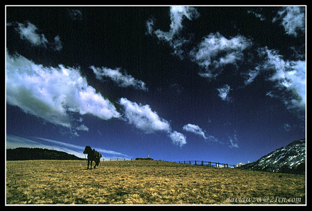 photo "Altiplano`s Feeling" tags: landscape, misc., clouds