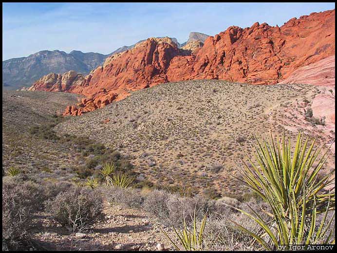 photo "Red Rock Canyon" tags: travel, landscape, North America, mountains