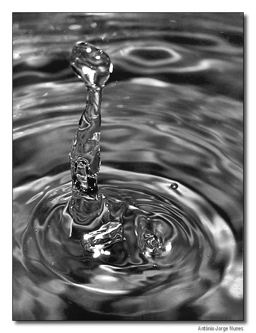 photo "The drop" tags: macro and close-up, misc., 