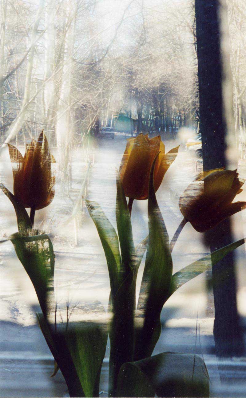 фото "Призраки 8 Марта" метки: натюрморт, пейзаж, весна