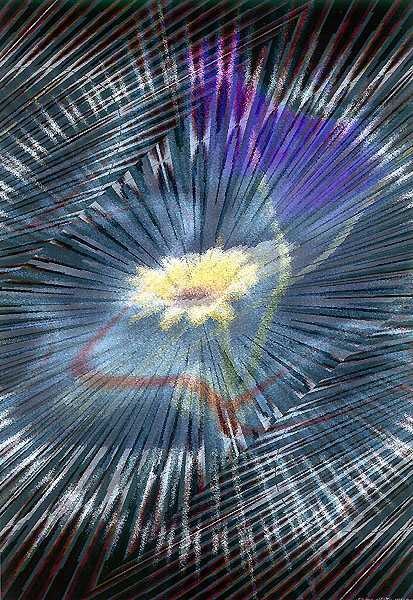 photo "Untitled photo" tags: montage, nature, flowers