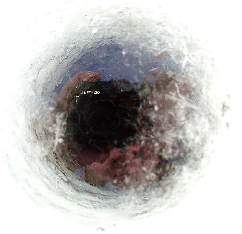 photo "Strange photo" tags: misc., 