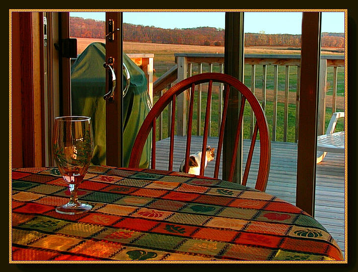фото "After Dinner" метки: натюрморт, пейзаж, осень