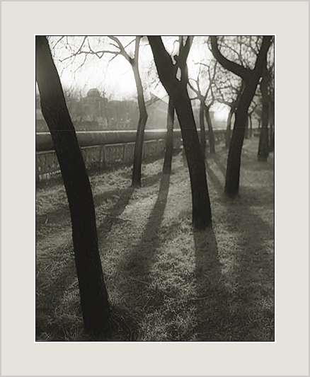 photo "For Rene" tags: landscape, spring