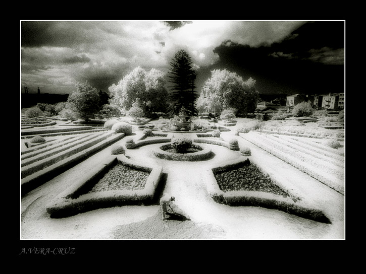 photo "Lisbon Botanical Garden (Ajuda)" tags: landscape, autumn