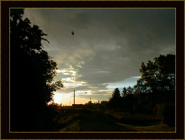 photo "Windy Lane" tags: landscape, clouds, sunset
