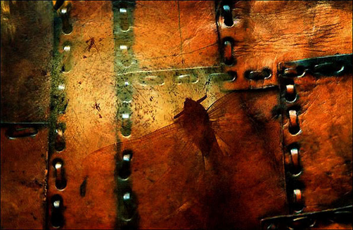 photo "Untitled photo" tags: still life, abstract, 