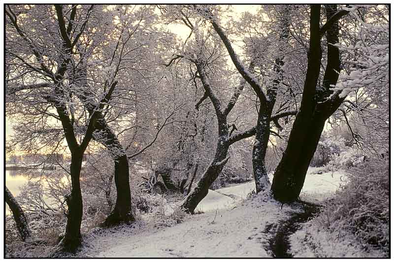 photo "Last snow" tags: landscape, winter