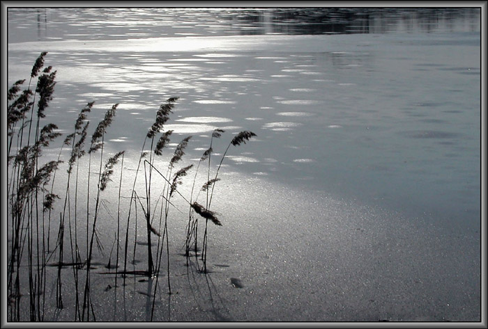 фото "На озере" метки: пейзаж, весна, вода