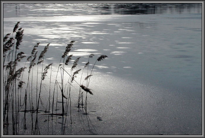 photo "On the lake" tags: landscape, spring, water