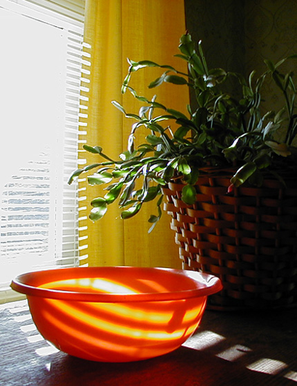 photo "The sun in a plate" tags: still life, 