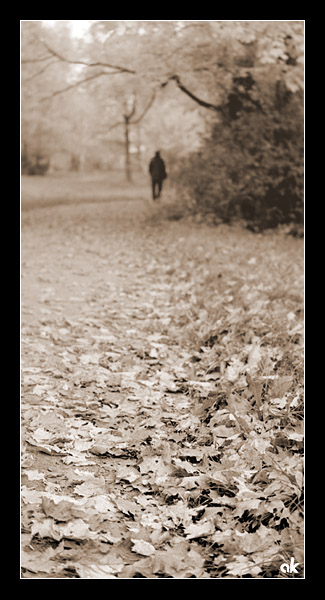 фото "Осенний парк #1" метки: пейзаж, жанр, осень