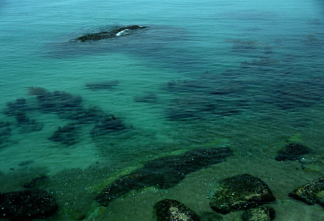 photo "Green Sea" tags: landscape, water