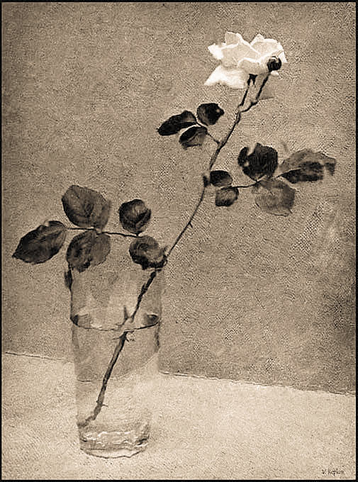 photo "Untitled photo" tags: still life, 