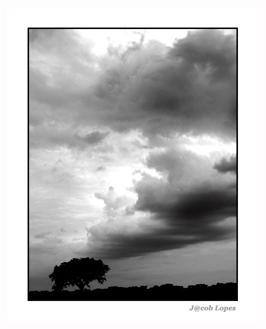 photo "overtaken by the storm" tags: landscape, nature, clouds