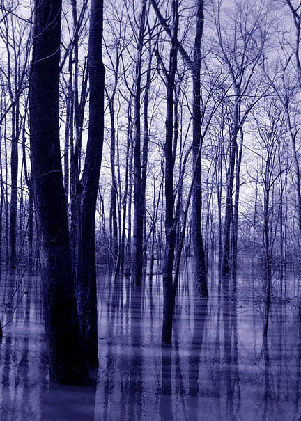 photo "River Blues" tags: landscape, forest, water