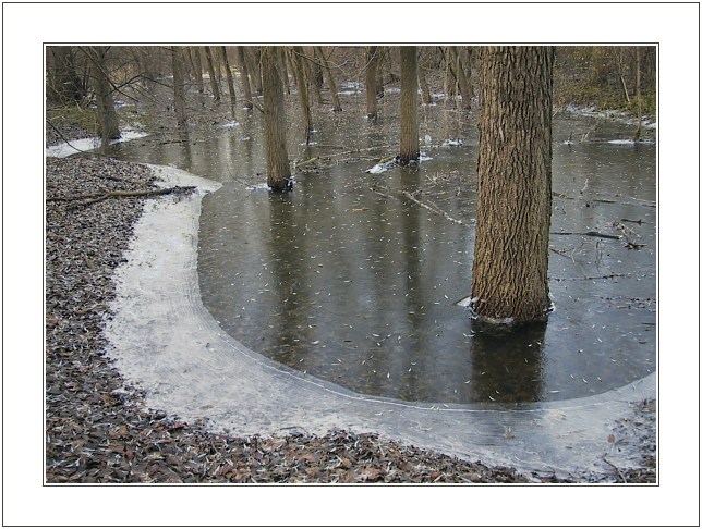 фото "Frost" метки: пейзаж, зима, лес