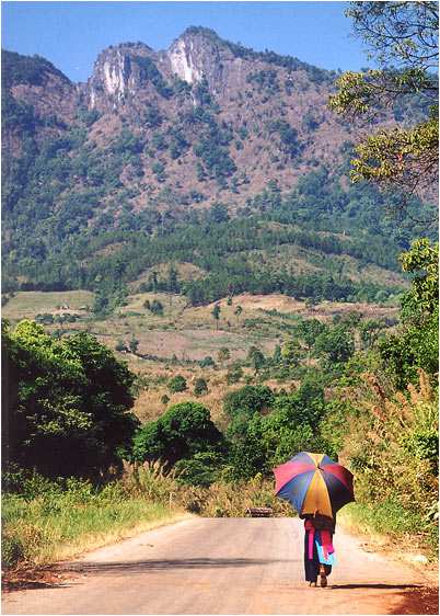 photo "Thailand`s umbrella" tags: genre, 