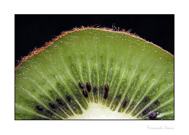 photo "Kiwi" tags: macro and close-up, 