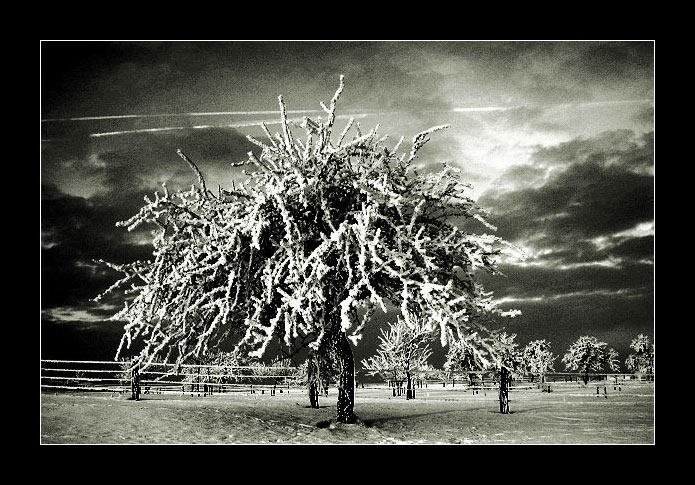 фото "dark thoughts" метки: пейзаж, зима