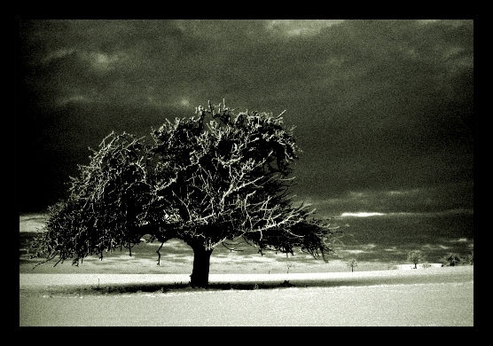 photo "nocturno" tags: landscape, winter