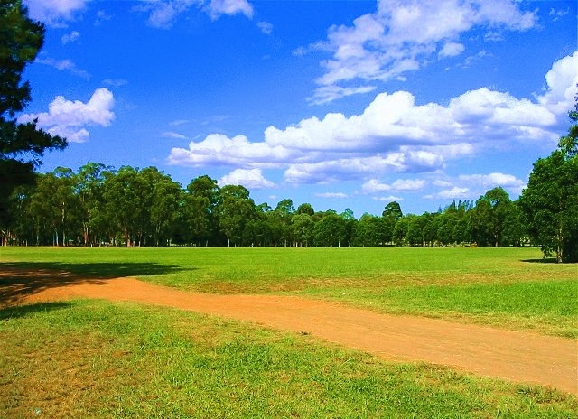 photo "Grassland" tags: landscape, summer