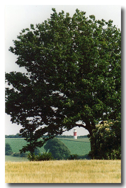 photo "lighthouse" tags: landscape, summer