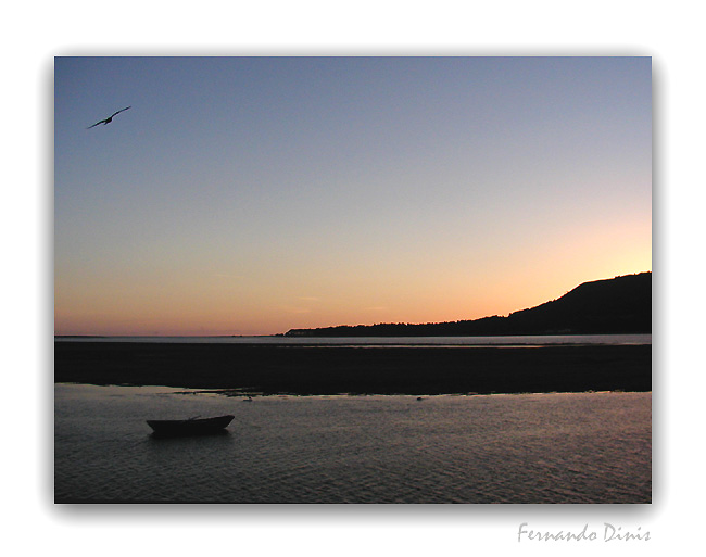 photo "Last flight" tags: landscape, nature, water, wild animals