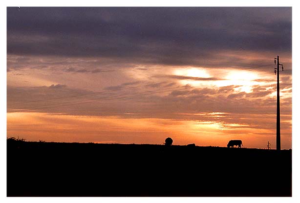 photo "At the farm..." tags: landscape, 