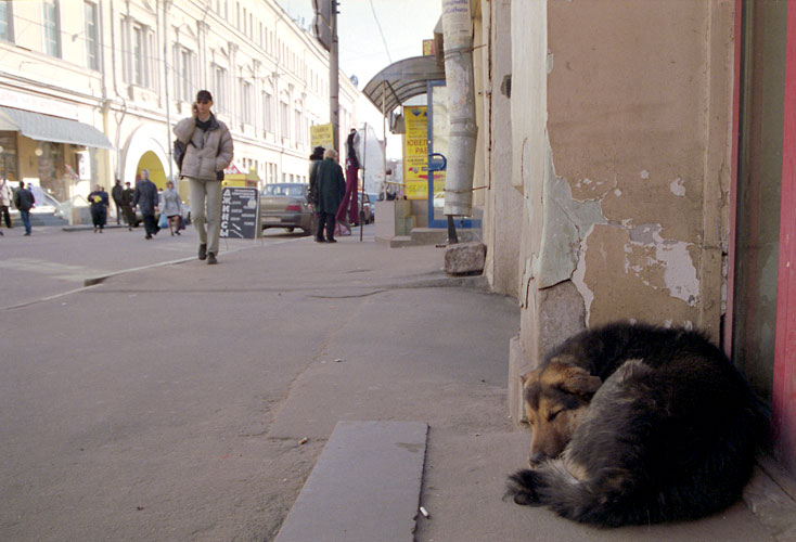 фото "Кузнецкий мост" метки: жанр, репортаж, 