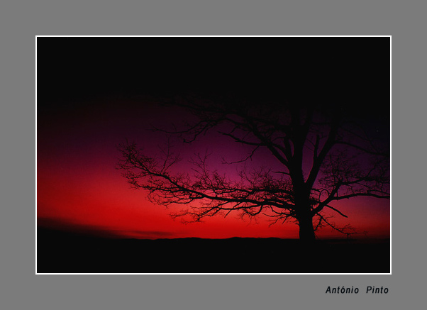 photo "Intrigue in Twilight..." tags: landscape, nature, night